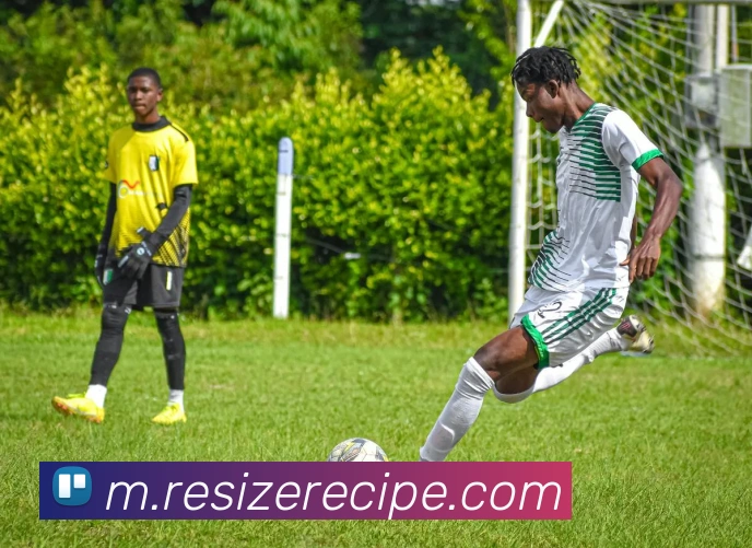 体育数据展示